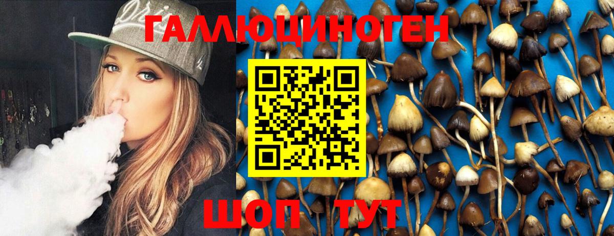 Псилоцибиновые грибы GOLDEN TEACHER  Галлюциногенные грибы MAGIC MUSHROOMS  Вход с VPN  Электросталь 